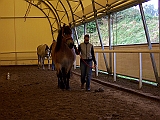 Bild 034